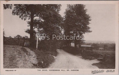 Middlesex Postcard: The Drive Horsendon Hill Near Harrow 1920s RPPC MB758