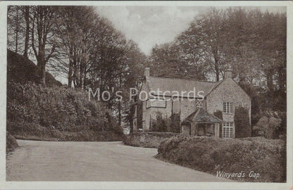 Dorset Postcard: Winyards Gap Inn, Chedington Crewkerne 1930s  MB892