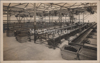 Australia Postcard: Geelong Federal Woollen Mills Spinning Interior RPPC DR709