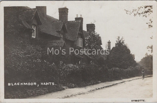 Hampshire Postcard : Row of Houses at Blackmoor, Nr Whitehill  MB1099