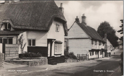 Hertfordshire Postcard: Much Hadham High Street, Cottages  XT2555