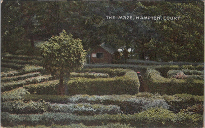Middlesex Postcard: Hampton Court Palace, The Hedge Maze  XT2579
