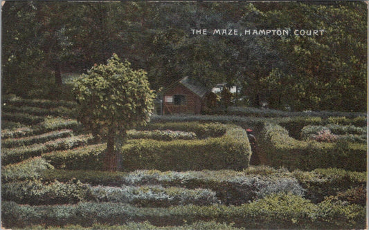Middlesex Postcard: Hampton Court Palace, The Hedge Maze  XT2579