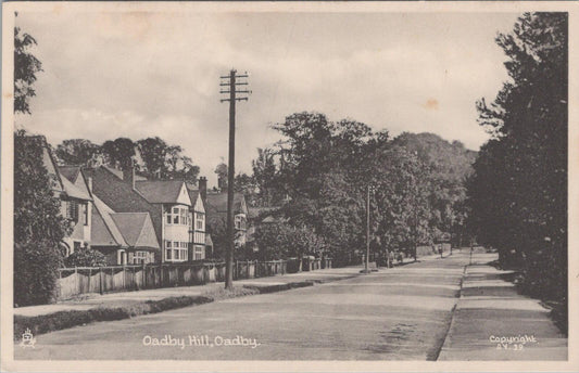 Leicestershire Postcard: Oadby Hill, Oadby Suburbs Street View  XT2608
