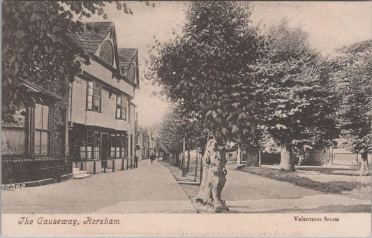 Sussex Postcard: Horsham The Causeway Historic Street Valentines 1900s XT2621