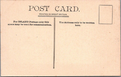 Sussex Postcard: Horsham The Causeway Historic Street Valentines 1900s XT2621