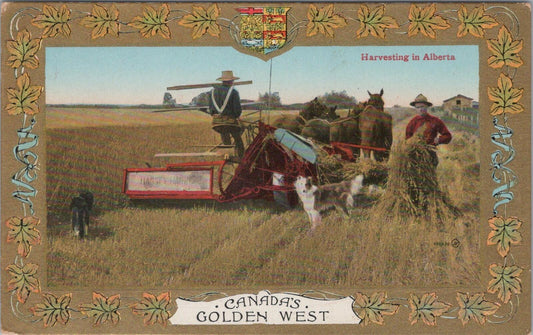 Canada Postcard: Alberta Harvesting Wheat Horses Golden West 1910s XT2623