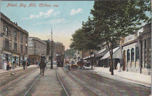 Gloucestershire Postcard: Black Boy Hill Clifton Bristol Street Tram Horse XT2638