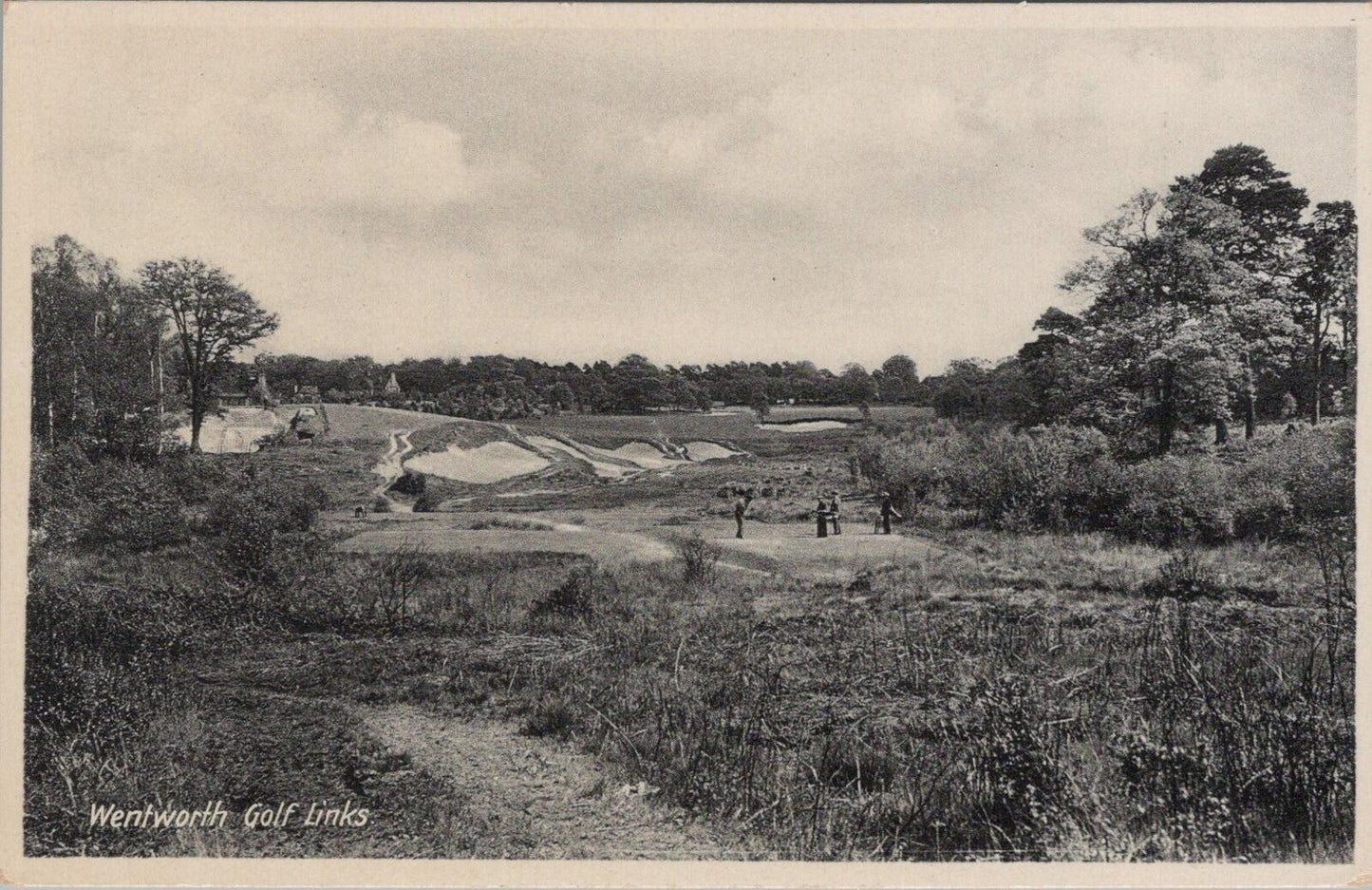 Surrey Postcard: Wentworth Golf Links Virginia Water Course Fairway Sand XT2641