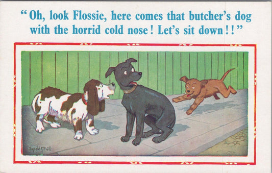 Comic Postcard: Oh Look Flossie Butchers Dog Joke, Artist Donald McGill  XT2662
