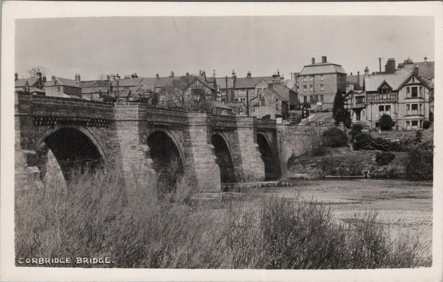 Northumberland Postcard: Corbridge Bridge River Tyne Town View c1950 RPPC XT2696