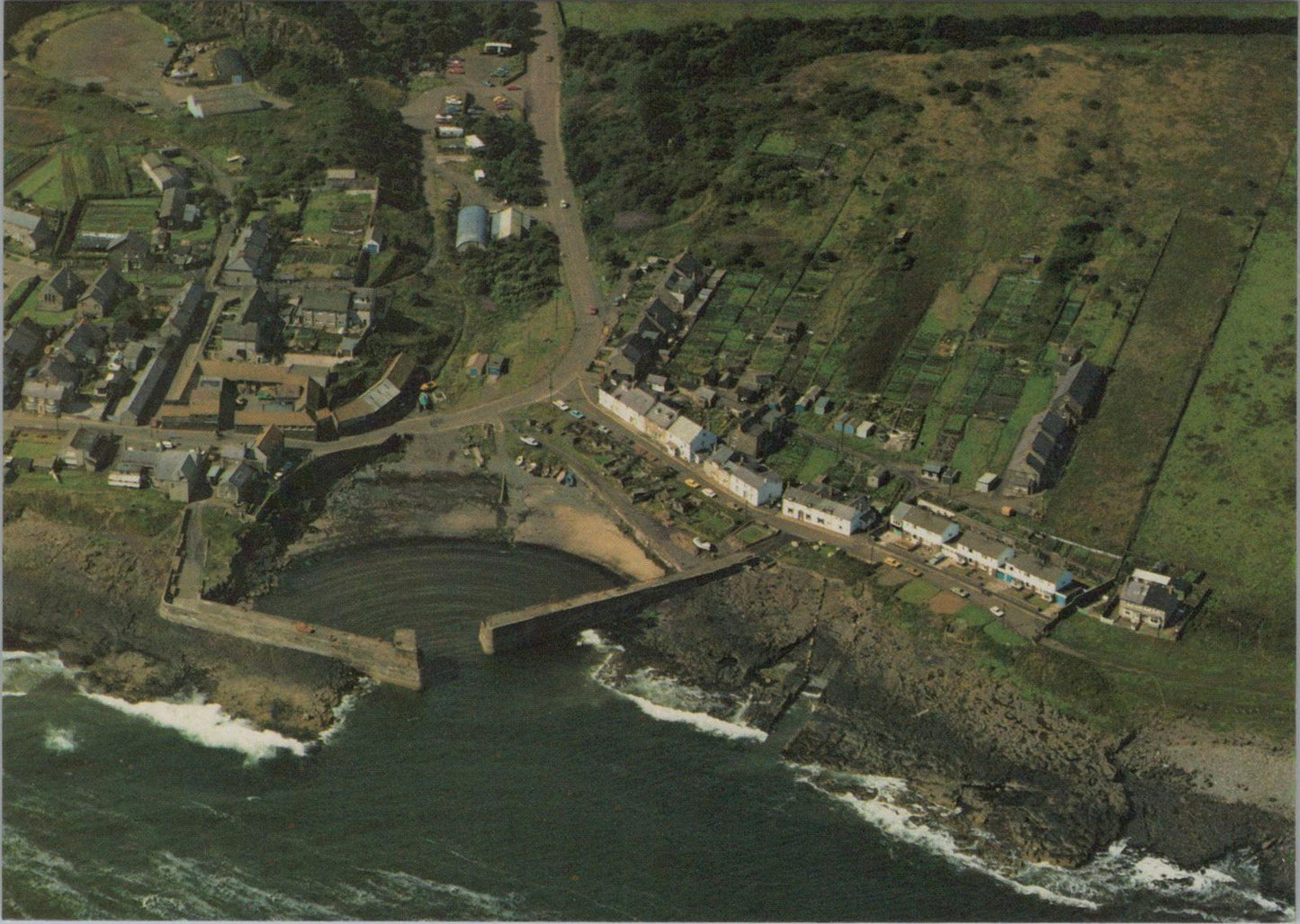 Northumberland Postcard - Aerial View of Craster Harbour   RR23570