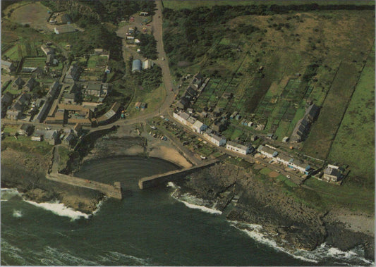 Northumberland Postcard - Aerial View of Craster Harbour   RR23570