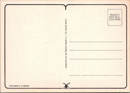 Flowers Postcard - Netherlands, Large Field of Dutch Flowers   RR23592