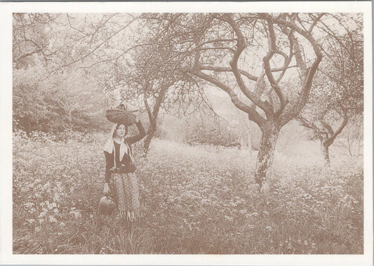 Nature Postcard - In The Old Orchard    RR23593