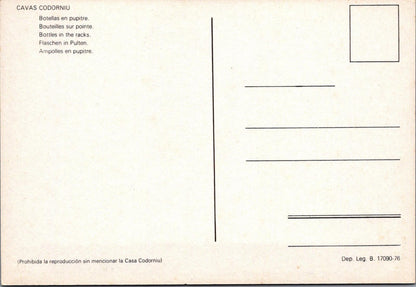 Food & Drink Postcard - Cavas Codorníu, Cava, Spanish Sparkling Wine RR23600