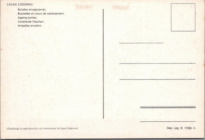 Food & Drink Postcard - Cavas Codorníu, Cava, Spanish Sparkling Wine RR23600