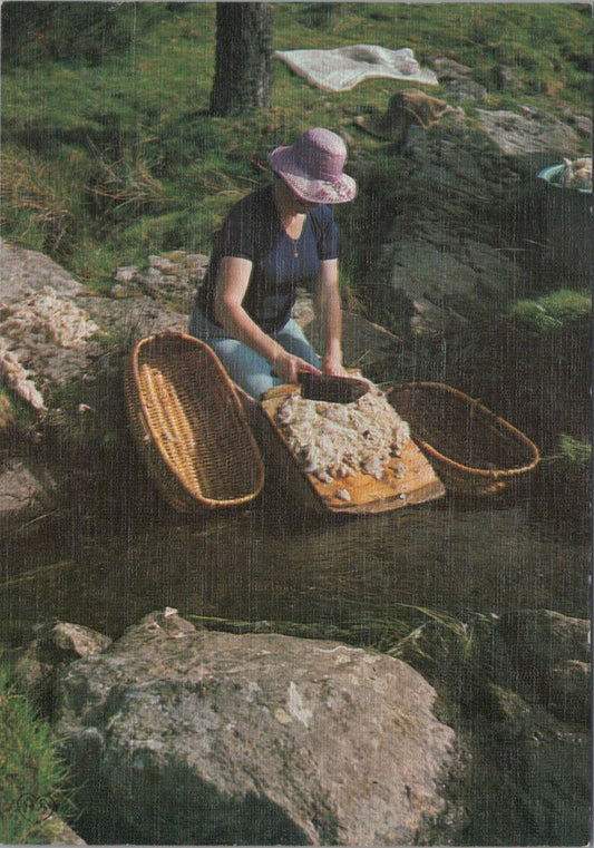 Occupations Postcard - Traditions, La Lavandière, The Washerwoman RR23682