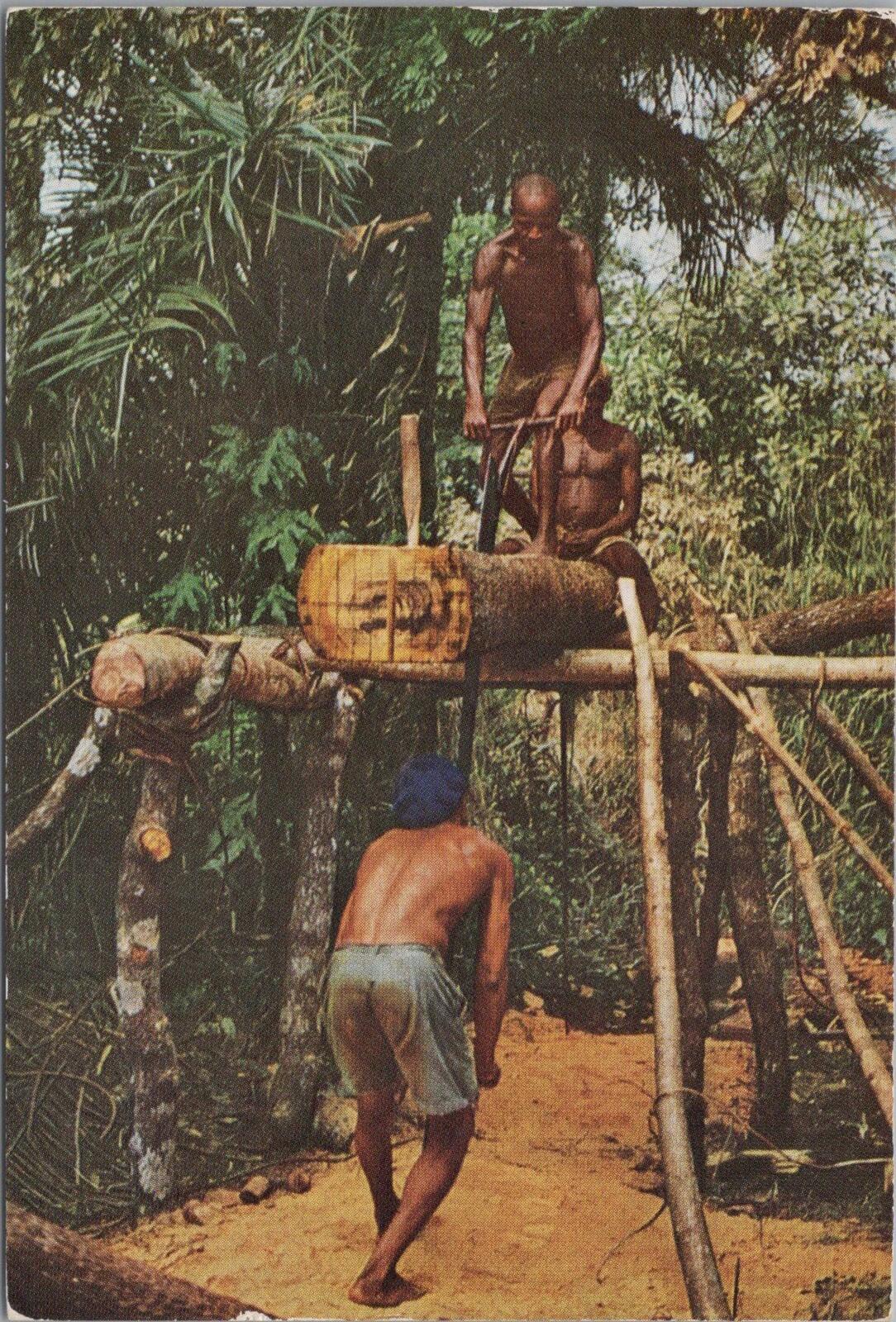 Sierra Leone Postcard: Freetown Cutting Timber Lumber Wood Workers RR23729