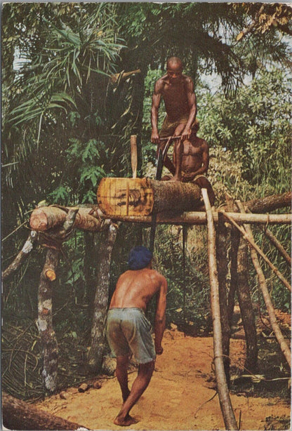 Sierra Leone Postcard: Freetown Cutting Timber Lumber Wood Workers RR23729
