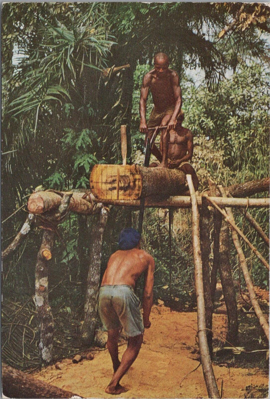 Sierra Leone Postcard: Freetown Cutting Timber Lumber Wood Workers RR23729