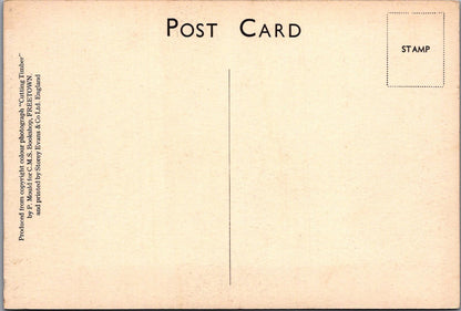 Sierra Leone Postcard: Freetown Cutting Timber Lumber Wood Workers RR23729