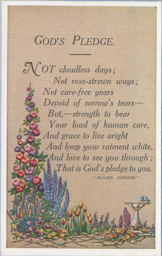Literature Postcard -Poem "God's Pledge" by The Scottish Poet Allan Junior XT912