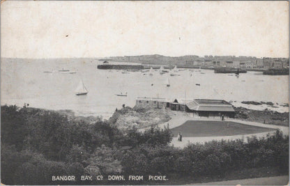 Northern Ireland Postcard - Bangor Bay, Co Down From Pickie   XT514