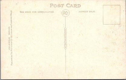Fashion Postcard - Welsh Woman in Traditional National Costume  XT836