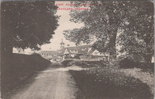 Suffolk Postcard - East Anglian Sanatorium in Nayland  XT869