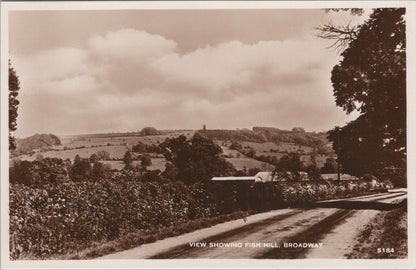 Worcestershire Postcard - Broadway, View From Fish Hill   XT256