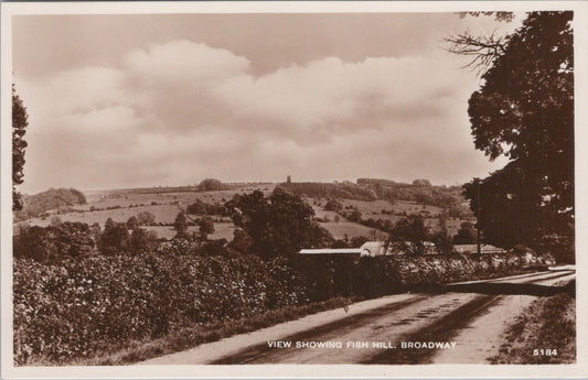Worcestershire Postcard - Broadway, View From Fish Hill   XT256