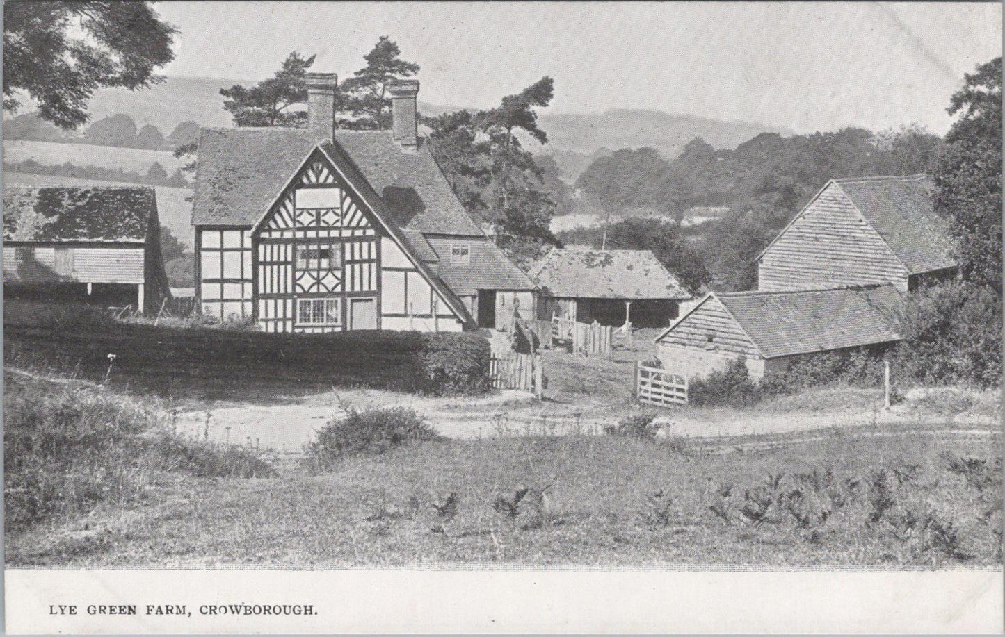 Sussex Postcard - Lye Green Farm, Crowborough   XT275