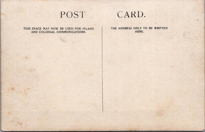 Horse Transport Postcard - Two-Wheeled Trap or Gig Delivery Cart  XT302
