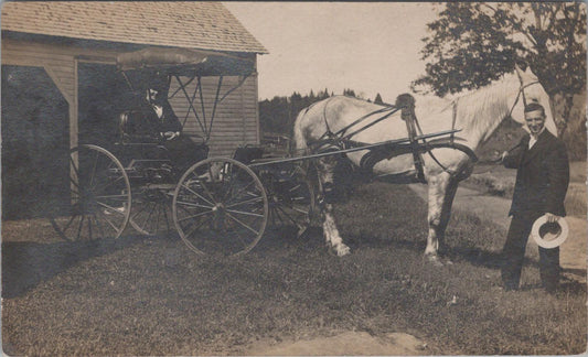Horse Transport Postcard - American Horse and Four-Wheeled Buggy  XT303