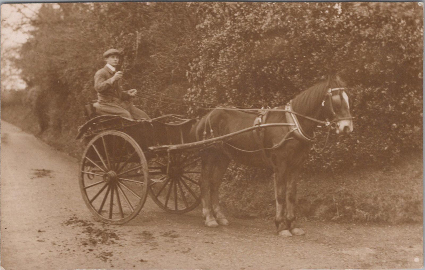 Horse Transport Postcard - Two-Wheeled Trap or Gig Delivery Cart  XT304