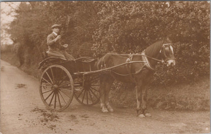 Horse Transport Postcard - Two-Wheeled Trap or Gig Delivery Cart  XT304