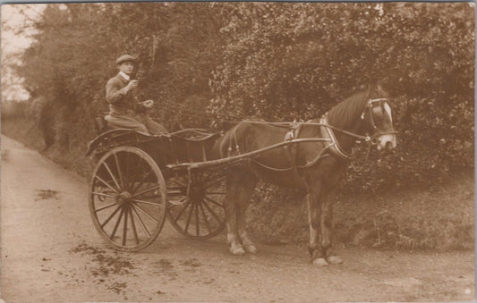 Horse Transport Postcard - Two-Wheeled Trap or Gig Delivery Cart  XT304