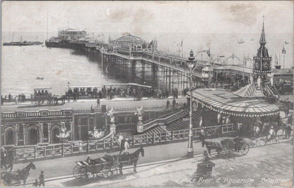 Sussex Postcard - Brighton, Palace Pier and Aquarium  XT316
