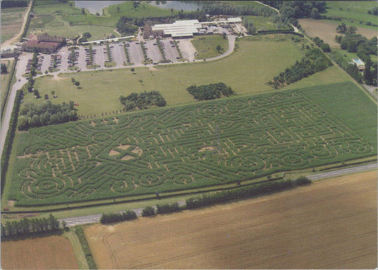 Oxfordshire Postcard: Ariel view of Millets Maize Maze, Frilford, Abingdon XT1573