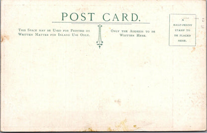 Somerset Postcard: Swans Ringing The Bell, Bishop's Palace, Wells XT1696
