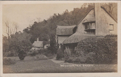 Somerset Postcard: Periwinkle Cottage, Selworthy Green XT1701