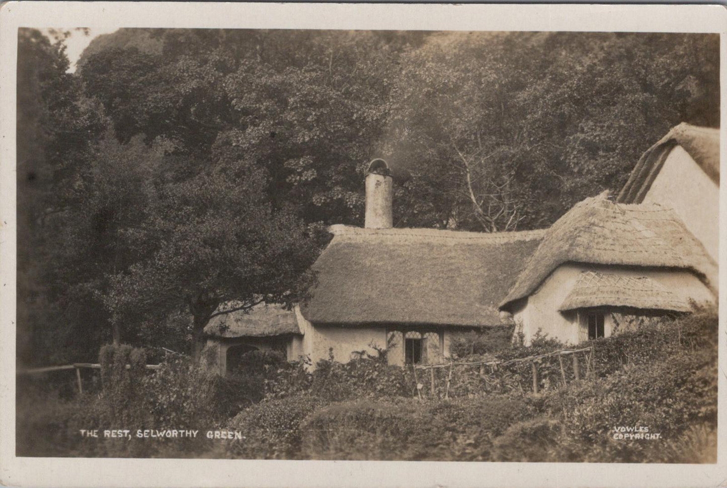 Somerset Postcard: The Rest, Selworthy Green  XT1702