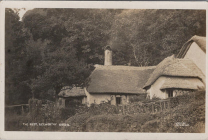 Somerset Postcard: The Rest, Selworthy Green  XT1702