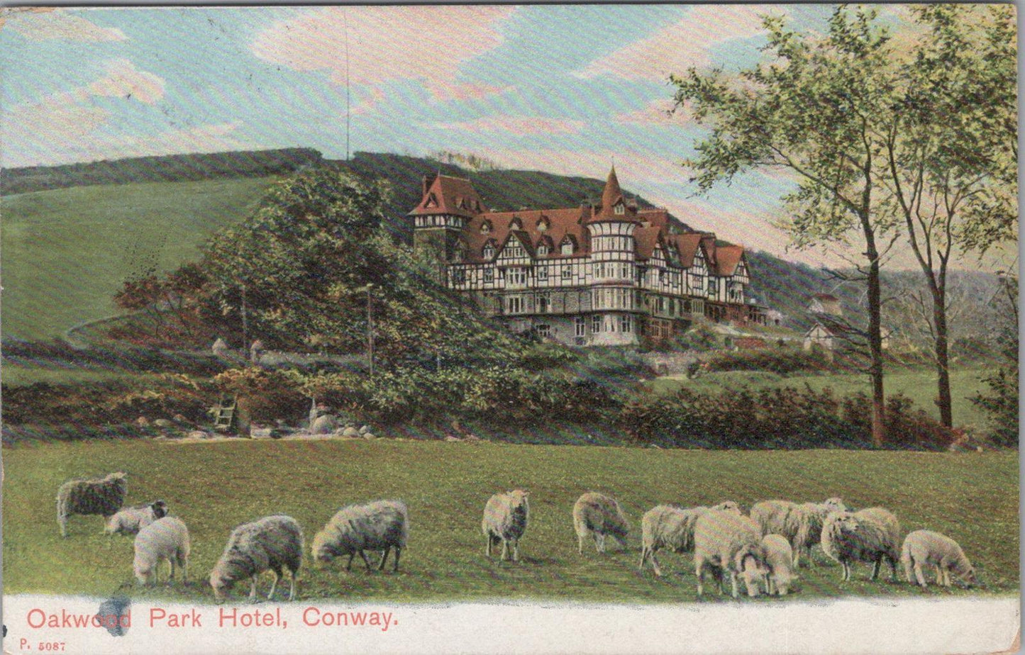 Wales Postcard: Oakwood Park Hotel, Conway, Caernarvonshire   XT1747