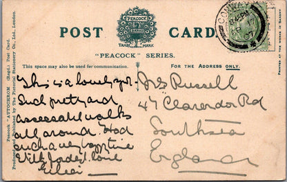 Wales Postcard: Oakwood Park Hotel, Conway, Caernarvonshire   XT1747
