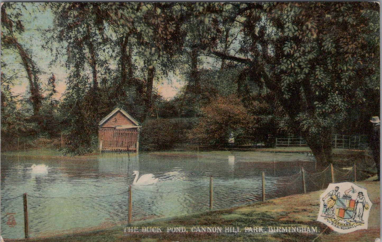 Warwickshire Postcard: The Duck Pond, Cannon Hill Park, Birmingham  XT1753