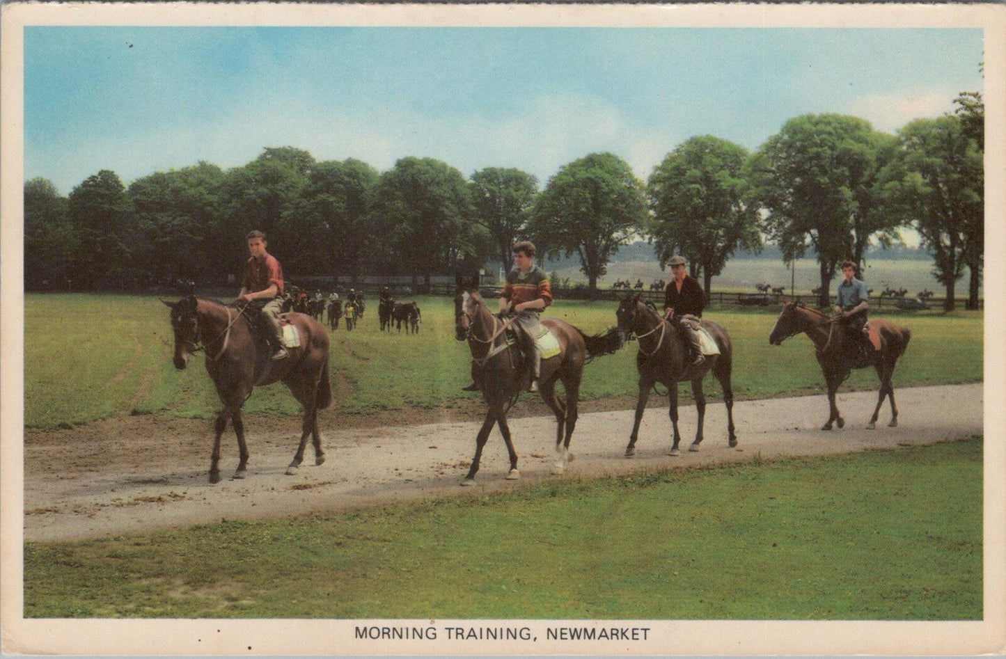 Suffolk postcard: Morning Training, Newmarket, Horse Racing XT1783