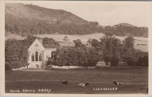Wales Postcard: Valle Crucis Abbey, Llangollen, Denbighshire. Abbey Ruins  XT1834