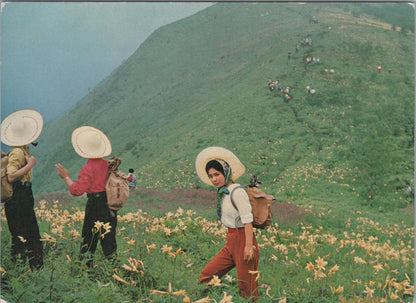 Japan Postcard - Kirifuri Highland, Kisuge Level  RR23317